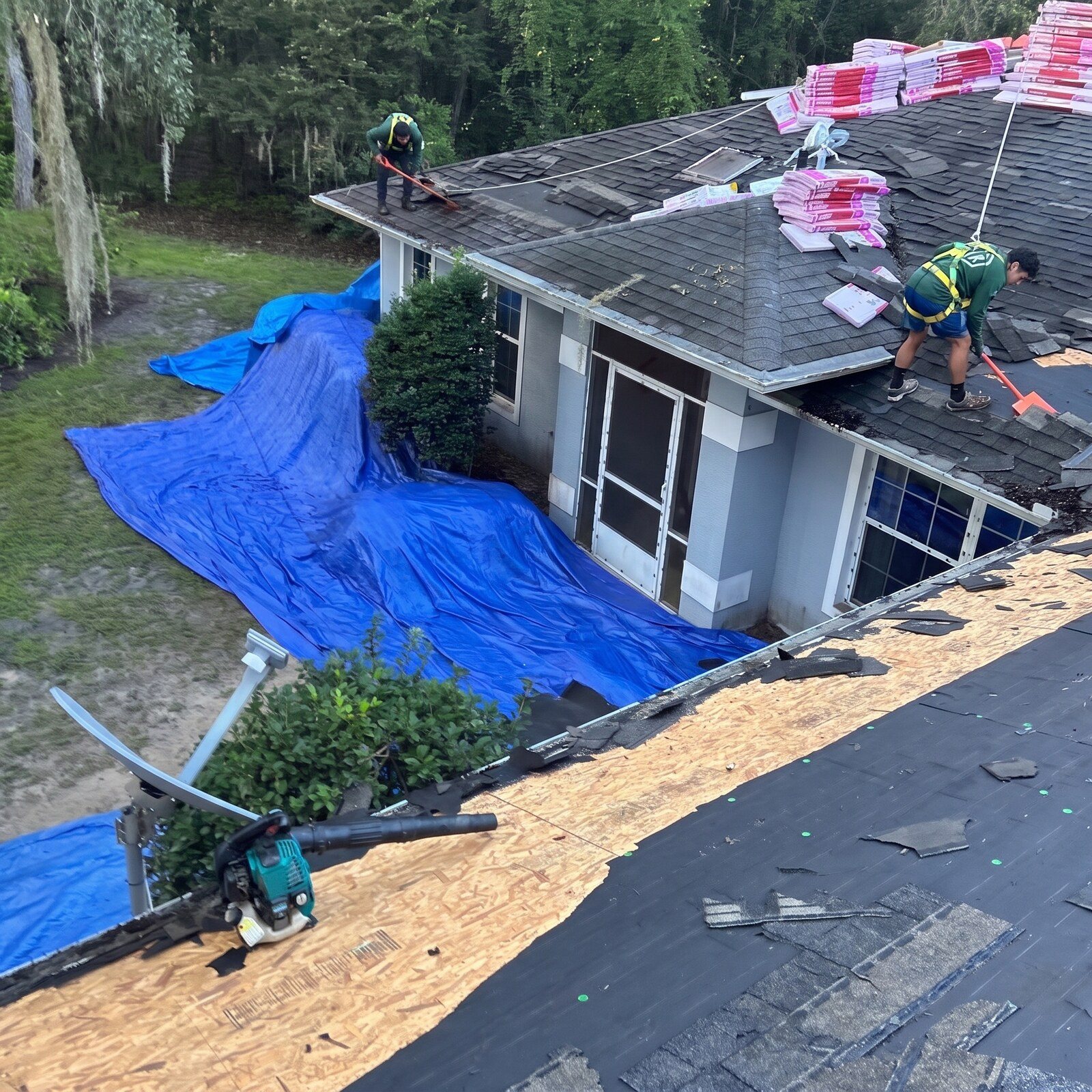 Two crew tearing off, yard tarped below on a shingle roof in Hernando