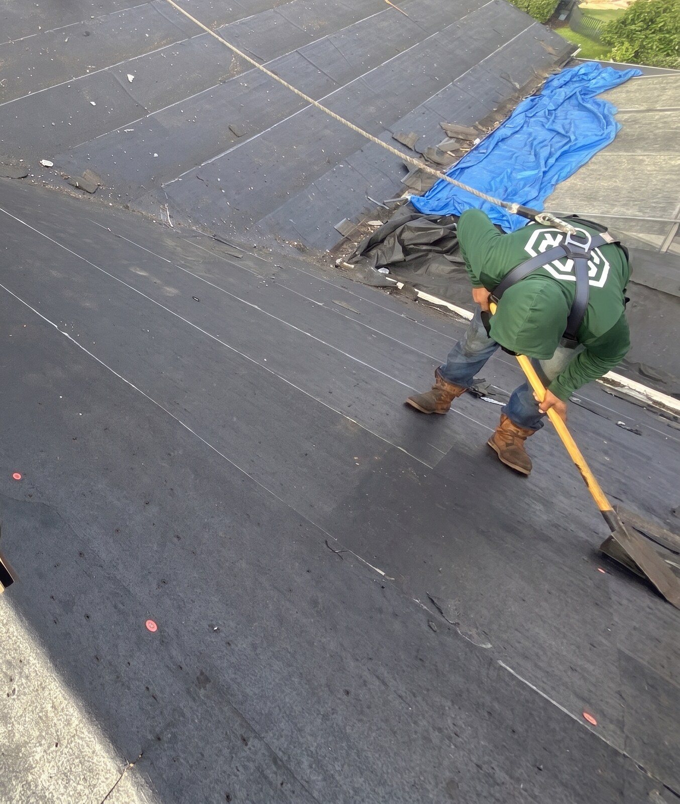 Tear off, one man scraping the old roof down to the deck with a shovel, harnessed on a metal roof in Lutz